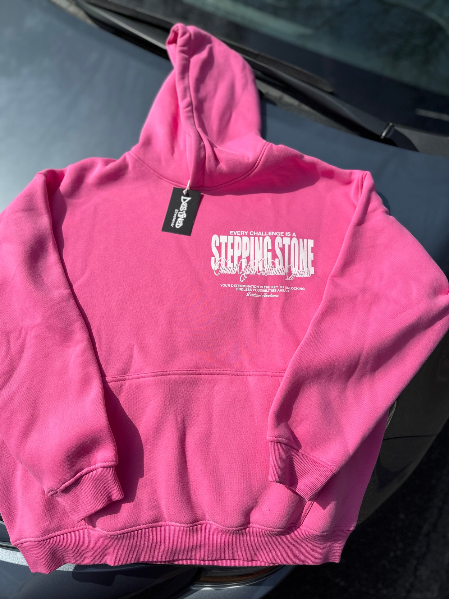 “Stepping Stone” Pink Static Hoodie